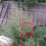 Handyman Services Project