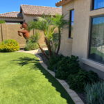 Additional Photos