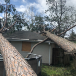 Home owner had two large pine trees fall across the entirety of their roof.