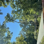 Tree Service Project