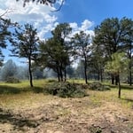 Wildland Fire Prep