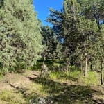 Wildland Fire Prep