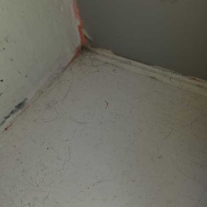 Deep Cleaning