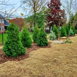 Additional Photos