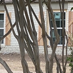 Belton windows