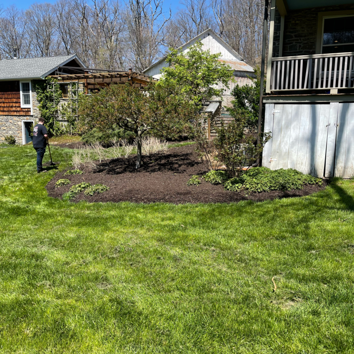 Additional Photos