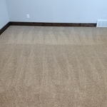Carpet cleaning