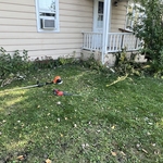 Leaf Removal Project