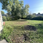Leaf Removal Project