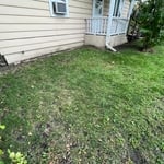 Leaf Removal Project