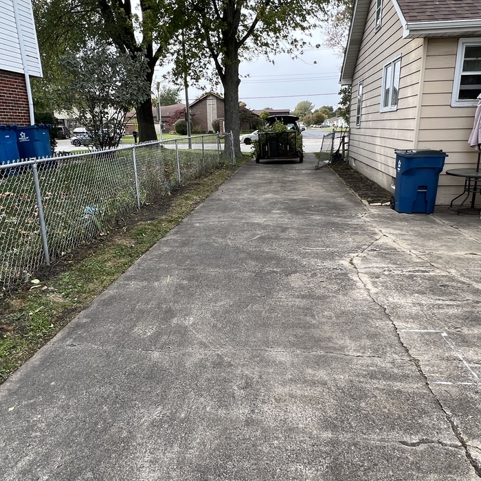 Leaf Removal Project