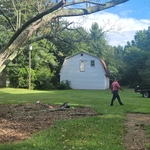 Tree Service Project