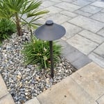 Pathway Light