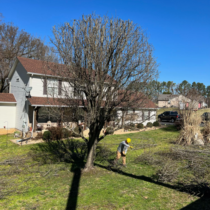 Additional Photos