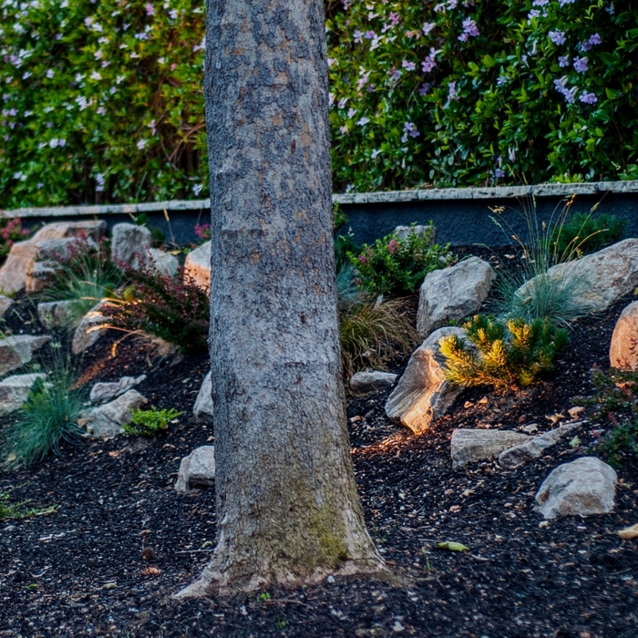 Napa Basalt Boulders highlighted with LED spots.