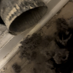 Dryer Vent Cleaning Project