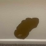 Painting - Interior Project