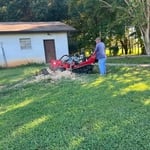 Tree Service Project