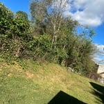Tree Service Project