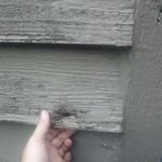 Chimney Repair Project