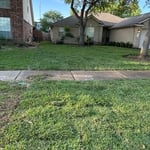 Landscaping Project