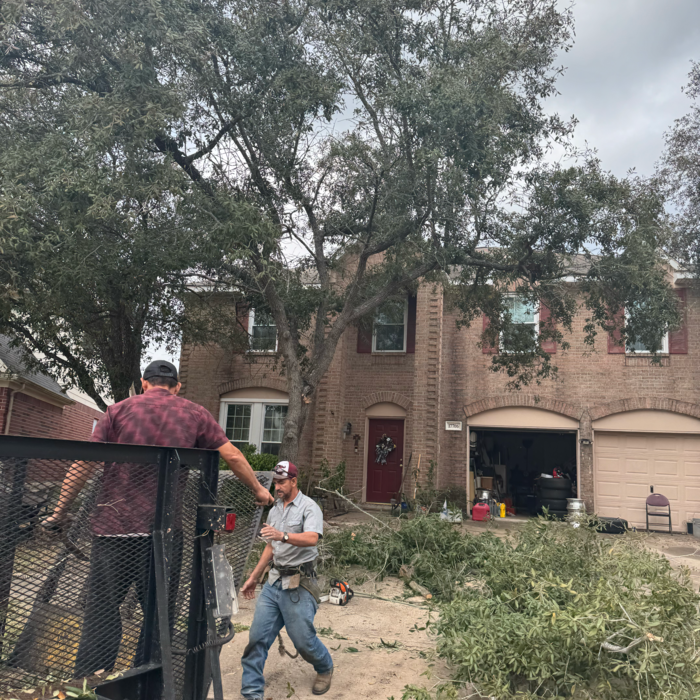 Additional Photos