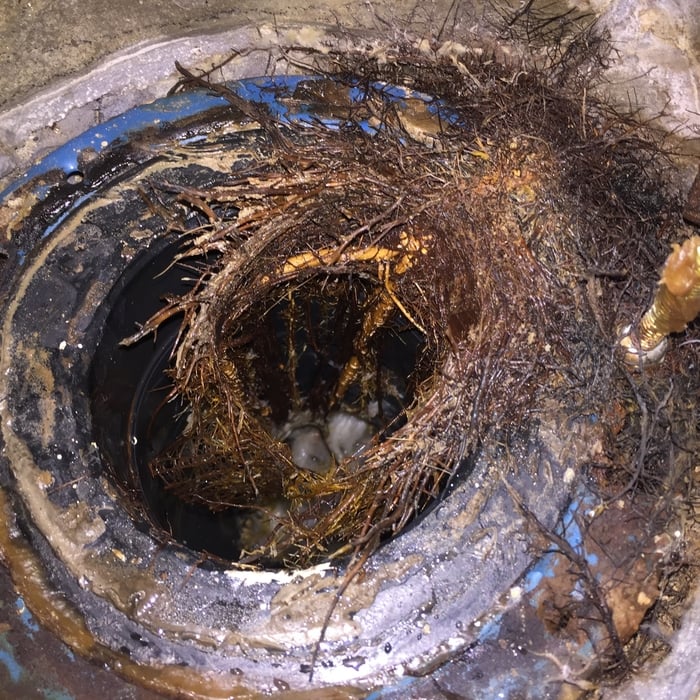 Drain Unclogging