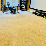 Carpet cleaning