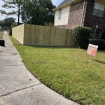 Fence Replacement