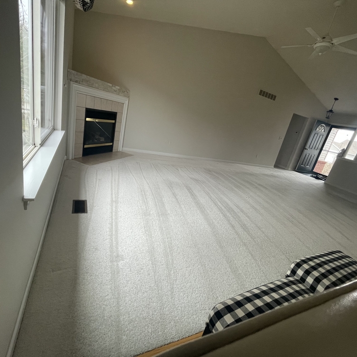 Carpet Cleaning Project