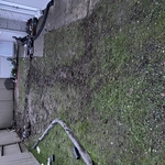 Sump Pump Installation connect drains to the mainline