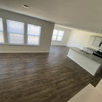 Post Construction Clean-up