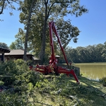 Tree Service Project