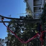 Tree Service Project