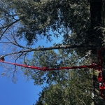 Tree Service Project
