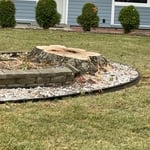 Tree Service Project