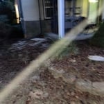 Tree Service Project