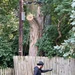 Tree Service Project