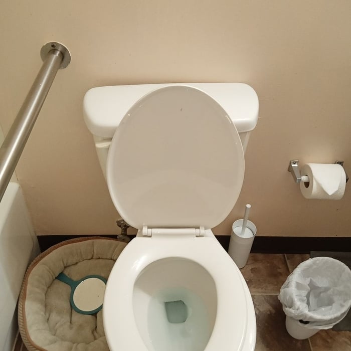 Housecleaning Project