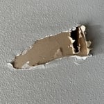 Paint and drywall
