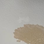 Paint and drywall