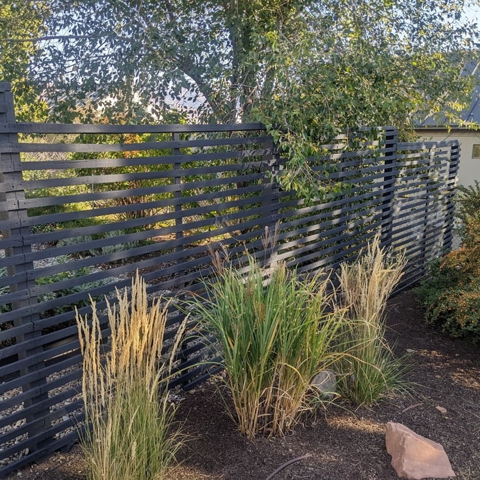 Fence and garden box repair and paint