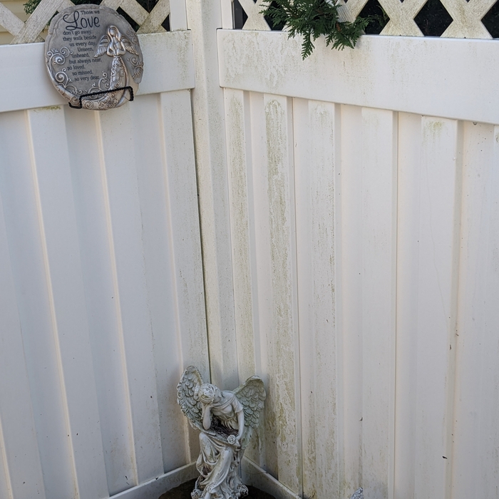 Before and after of fence cleaning