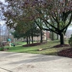Landscaping Project