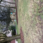 Landscaping Project