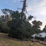 Tree Service Project
