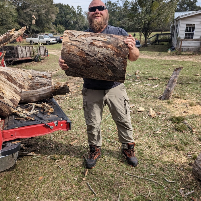 Tree Service Project