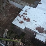 Tree Service Project