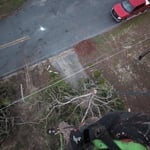 Tree Service Project