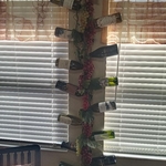 holds 18 bottles